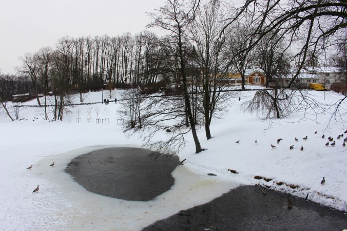 Copyright: insidenorway