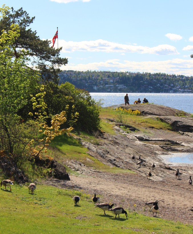 Langøyene, Copyright: insidenorway