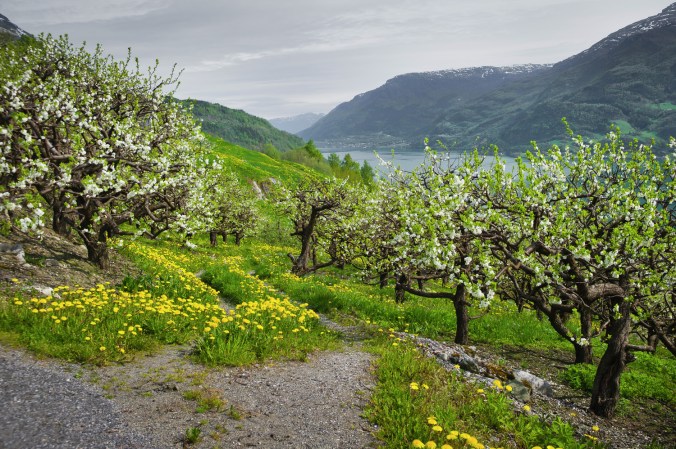 Copyright: CH - Visitnorway.com