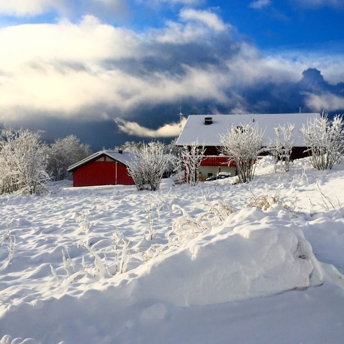 Elnesvågen, Copyright: insidenorway