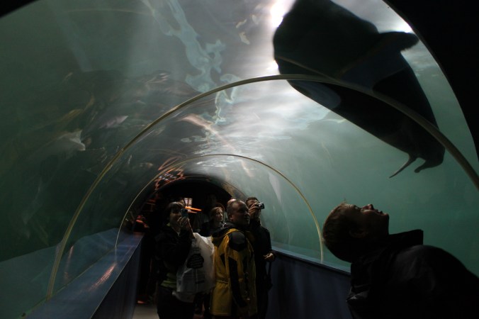 Copyright: Frank Andreassen / www.nordnorge.com / Tromsø 