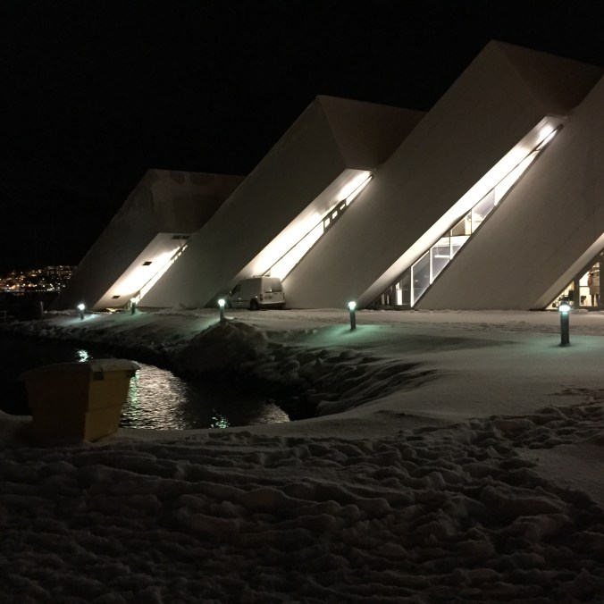 Polaria, Copyright: insidenorway