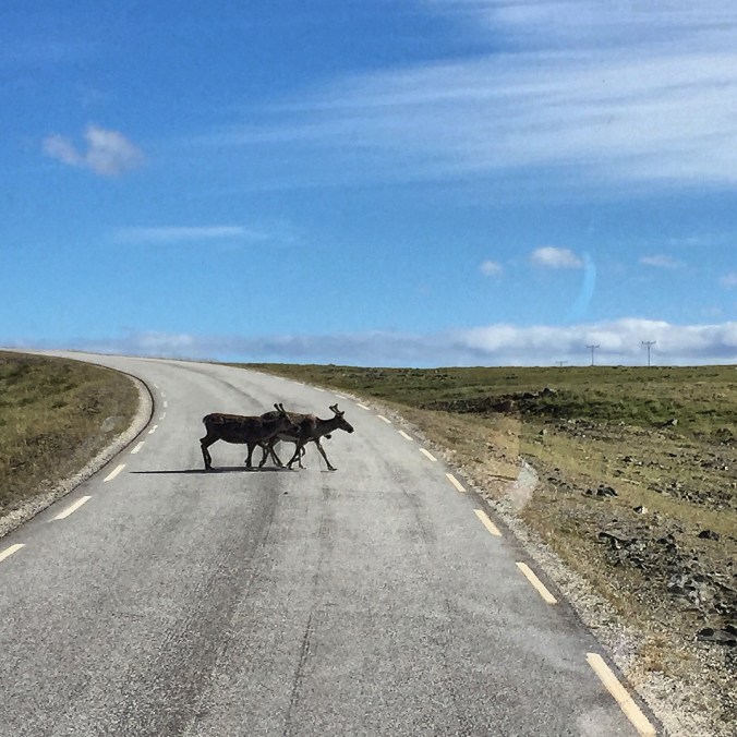 Copyright: insidenorway