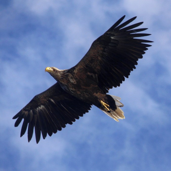 Copyright: insidenorway