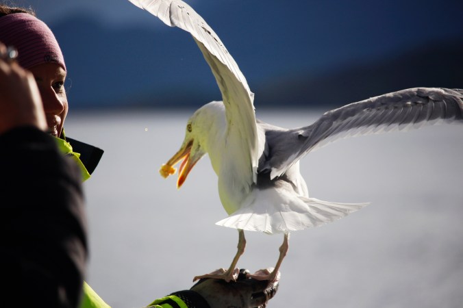 Copyright: insidenorway